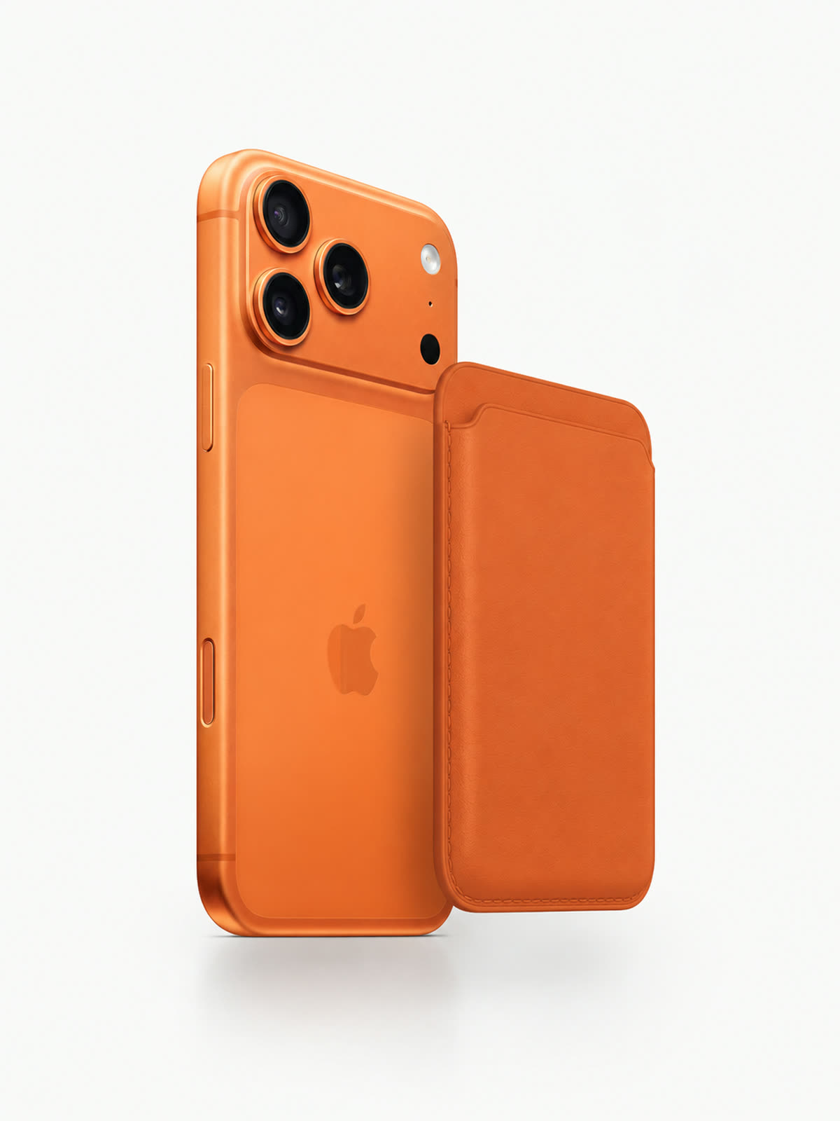 #color_orange